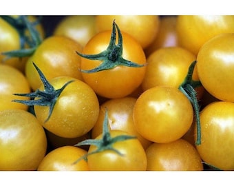 Golden Sweet Cherry Tomato