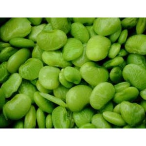 Henderson Baby Lima Bean Seeds