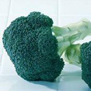 May include: A close-up shot of fresh broccoli florets. The broccoli is a deep green color, with a textured surface. The stems are a pale green, and the background is a light color.