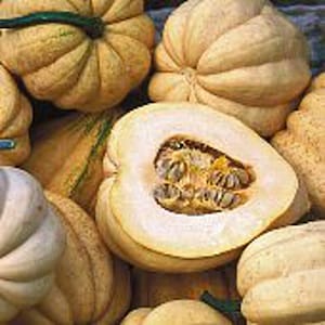 May include: A close-up of a group of pale yellow squash. Some of the squash are whole, while others are cut open, revealing the seeds inside.