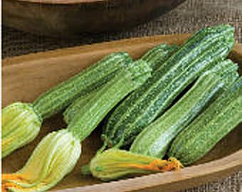 Romanesco Squash Seeds