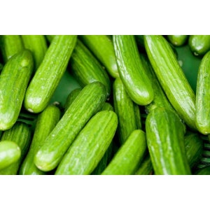 Persian Middle East Cucumber Seeds