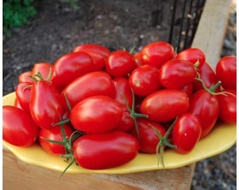 Juliet Hybrid Cherry Tomato Seeds