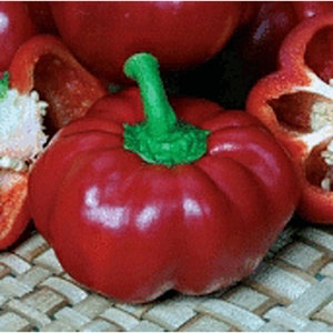 Pritavit Sweet Peppers Seeds