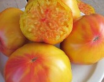 May include: A close-up of several heirloom tomatoes, showcasing a mix of yellow and red hues. One tomato is cut open, revealing the juicy interior. The tomatoes are arranged on a white plate, highlighting their vibrant colors and textures.
