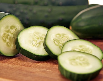 Gateway Hybrid Cucumber Seeds