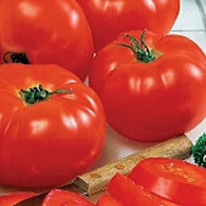 May include: Close-up of several ripe, red tomatoes with green stems. One tomato is partially sliced, revealing the juicy interior. A knife with a wooden handle is also visible, suggesting food preparation.