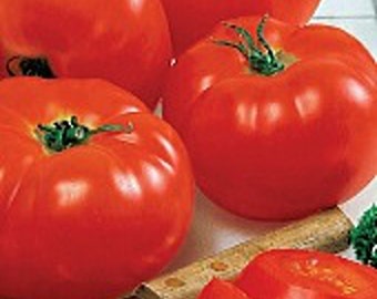 Big Beef Tomato Seeds