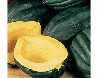 May include: A close-up of a halved acorn squash with a bright yellow interior. The squash is surrounded by whole acorn squash with a dark green exterior.