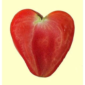 May include: A heart-shaped red tomato with a light green stem.