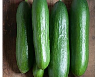 Diva Cucumbers Seeds