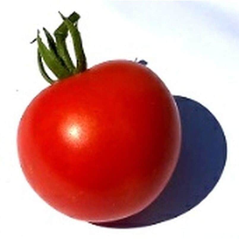 Sugar Daddy Cherry Tomato Seeds