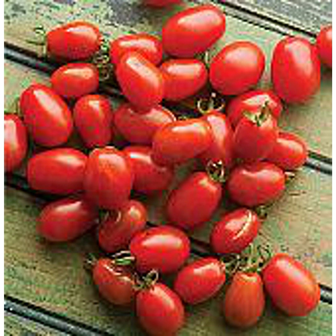 Cherry Roma Tomato Seeds - Etsy