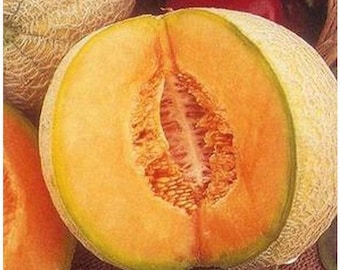 Iroquois Cantaloupe Melon Seeds