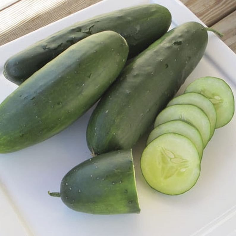 MommyAndMeGardens Raider F1 Cucumber Seeds