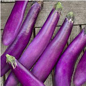 May include: A group of purple eggplants, some with a slight green hue, arranged on a wooden surface. The eggplants are long and slender, with smooth skin.