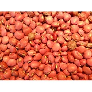 May include: A close-up view of a pile of pink and red kidney beans. The beans are smooth and shiny, with a slightly mottled appearance.