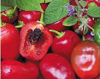 Rocoto Hot Peppers (Red) Seeds