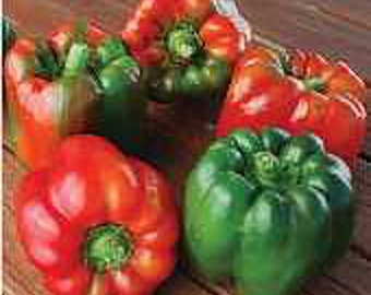 Ozark Giant Sweet Peppers Seeds