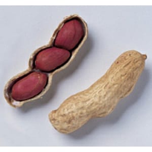 May include: Two peanut shells with three red peanuts inside and one whole peanut shell.