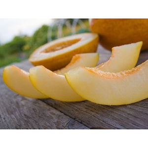 May include: Close-up of four slices of cantaloupe melon on a wooden surface. The melon is a pale yellow color and has a slightly orange hue.