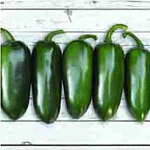 May include: Five green jalapeno peppers arranged in a row on a white wooden surface.