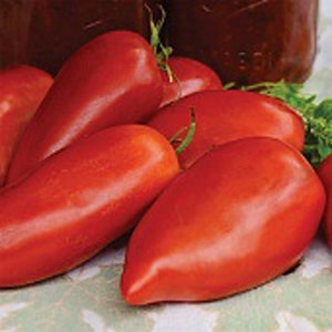 May include: A group of red, elongated tomatoes, some with green stems, arranged on a green and brown surface.