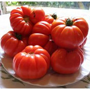 May include: A bowl of red tomatoes with a variety of sizes and shapes. The tomatoes are arranged in a circular pattern, with the largest tomato in the center.