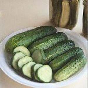 May include: A white plate with a variety of green dill pickles. Some pickles are whole and others are sliced.