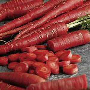 Samurai Carrots Seeds