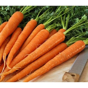 May include: A bunch of fresh, vibrant orange carrots with green tops. The carrots are arranged on a wooden surface, with a knife visible in the corner. The image highlights the natural colors and textures of the vegetables.