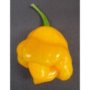 May include: A bright yellow bell pepper with a green stem. The pepper has a unique, bumpy shape.