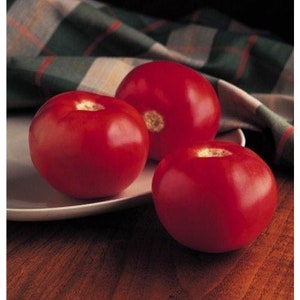May include: Three large, ripe red tomatoes on a white plate. The tomatoes are round and smooth, with a glossy finish.