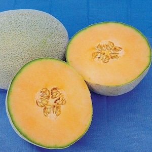 May include: Two cantaloupe melons, one whole and one cut in half, showing the orange flesh and seeds. The cantaloupe is on a blue background.