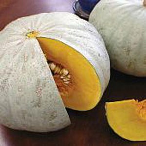 Sweet Meat Squash Seeds