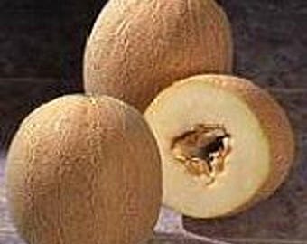 Charlynne Melons Seeds