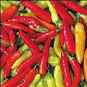Aji Cristal Hot Peppers Seeds