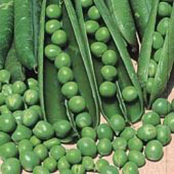 green peas⭐︎ Summers Peak Organic Green Peas Same-Day Delivery | Costco