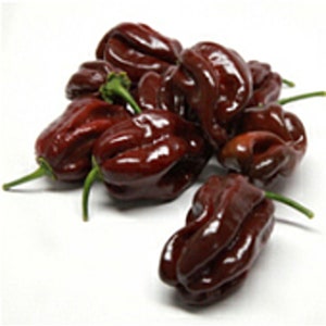 Habanero Hot Peppers (Chocolate Strain 3) Seeds