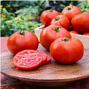 May include: A close-up of a group of red ripe tomatoes on a wooden surface. The tomatoes are arranged in a circle, with one tomato cut in half.