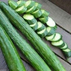 May include: Three green cucumbers, two whole and one sliced into rounds. The cucumbers are arranged on a wooden surface.