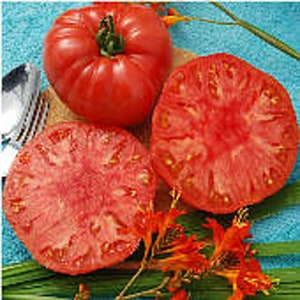 May include: A close-up of ripe, red tomatoes, one whole and two halves, showcasing their juicy interior. The tomatoes are accompanied by orange flowers and green stems, suggesting a fresh, garden-to-table theme. A fork is visible in the background.