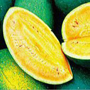 Sweet Siberian Watermelons Seeds