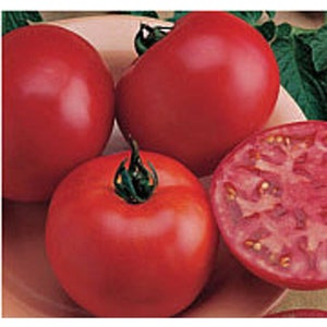 May include: Four red ripe tomatoes, one sliced in half, showing the inside of the fruit.