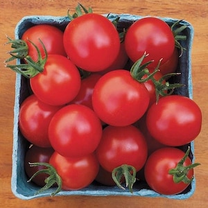 May include: A blue and white container filled with bright red cherry tomatoes.