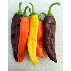NuMex Mix Hot Pepper Seeds