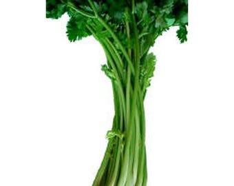 Chinese Celery Boly Seeds