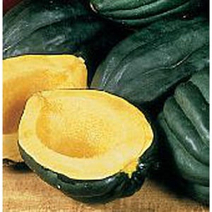 Table Queen Squash Seeds