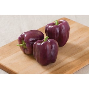Islander (F1) Sweet Bell Pepper Seeds