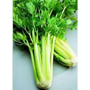 May include: A bunch of fresh green celery stalks with leaves.